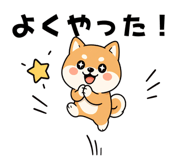 888802212