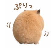 888803298
