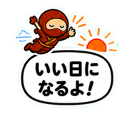 888803981