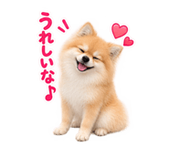 888805508