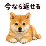888805601