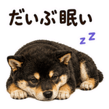 888805606