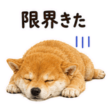 888805609