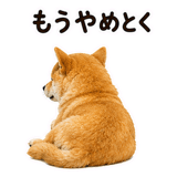 888805613