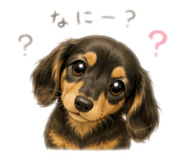 888806026