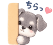 888806505