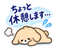 888808026