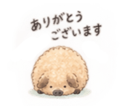 888808315