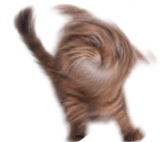 888809448