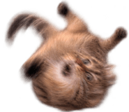 888809451