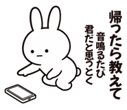 888811919