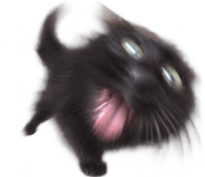 888812050