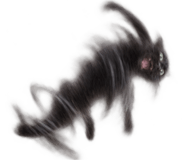 888812051