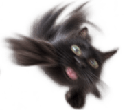888812053