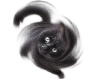 888812054