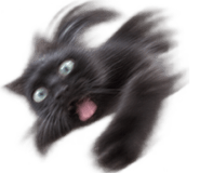 888812056