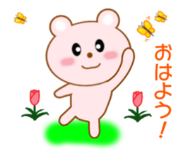 8888156