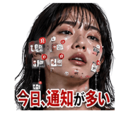 888815649