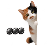 888817196