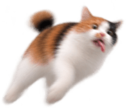 888817205