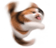 888817207