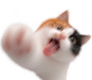 888817208