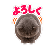 888827048