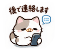888853984
