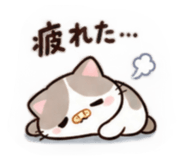 888853989