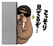 888862183