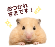 888864005