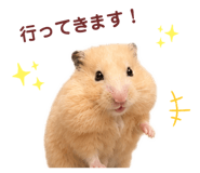 888864013