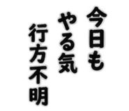 888864041
