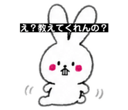 888864429