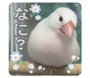 888864435