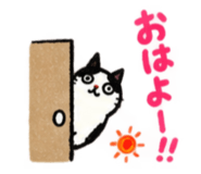 888865196