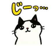 888865200