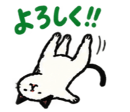 888865211