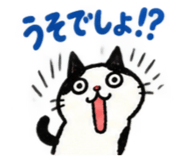 888865222