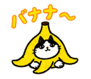 888865228