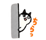 888865229