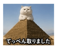 888865396
