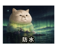888865413