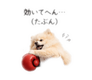 888867716