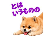 888867748