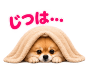 888867750