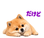 888867755