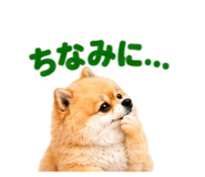 888867757