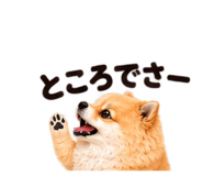 888867760