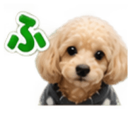 888868676